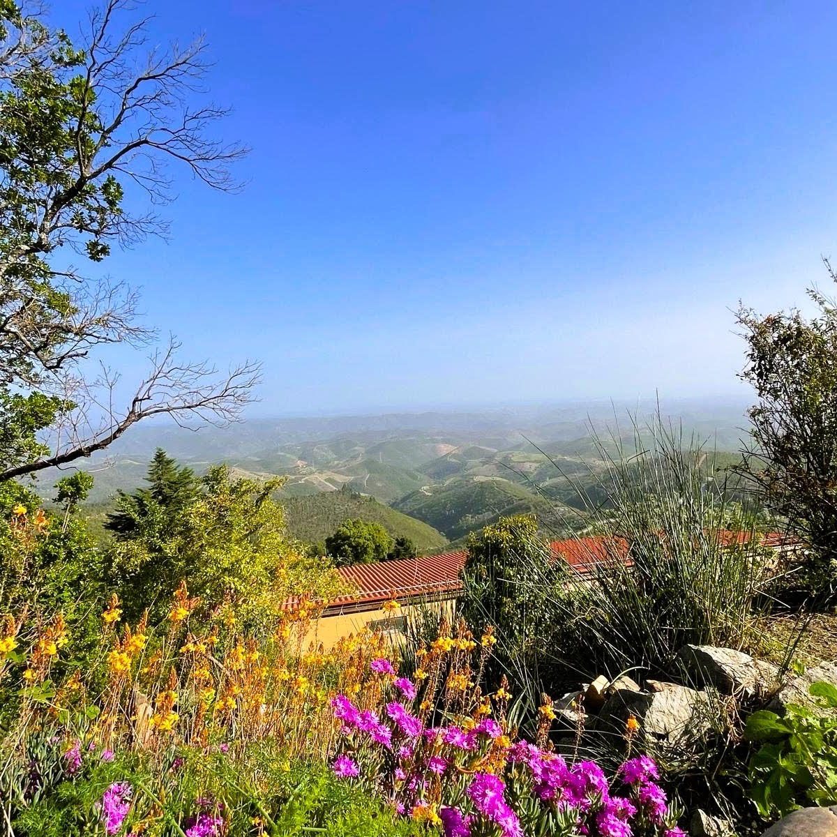 Flowers and the view over the hills of the Serra de Monchique from Karuna Retreat Center, Algarve, Portugal